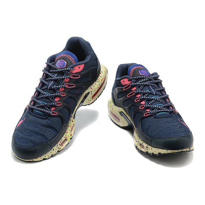 NIKE AIR MAX TERRASCAPE PLUS BLUE PINK